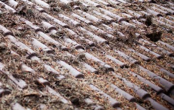 Garnfadryn roof cleaning companies